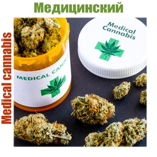 Медицинские сорта конопли Медицинские сорта конопли