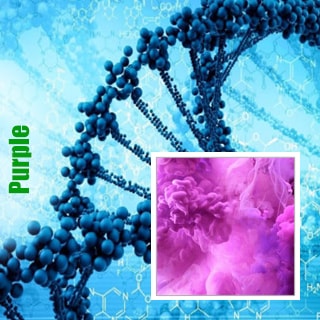 Purple Purple