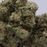 семена конопли интернет магазин 707 Headband feminised Humboldt Seeds семена конопли интернет магазин 707 Headband feminised Humboldt Seeds