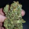 семена конопли медицинской Auto CBD Crack feminised Fast Buds семена конопли медицинской Auto CBD Crack feminised Fast Buds