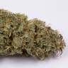 семена конопли индика Auto OG Kush feminised Dinafem Seeds семена конопли индика Auto OG Kush feminised Dinafem Seeds