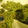 семена конопли элитных сортов Auto Pineapple regular семена конопли элитных сортов Auto Pineapple regular