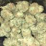 заказ семян конопли Москва Chill-OM regular Mandala Seeds заказ семян конопли Москва Chill-OM regular Mandala Seeds