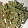 заказ семян конопли Спб Auto Lemon Haze feminised заказ семян конопли Спб Auto Lemon Haze feminised