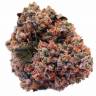 семена конопли феминизированные Purple OG feminised семена конопли феминизированные Purple OG feminised