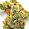 семена конопли Россия Blueberry OG feminised Barneys Farm