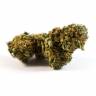 семена культурной конопли купить Auto Sweet Mango regular семена культурной конопли купить Auto Sweet Mango regular
