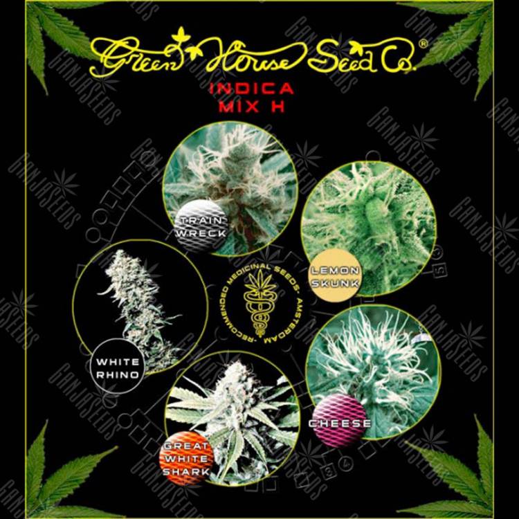семена конопли для курения Indica Mix H feminised Green House Seeds семена конопли для курения Indica Mix H feminised Green House Seeds