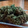 Семки Royal Gorilla feminised Ganja Seeds Семки Royal Gorilla feminised Ganja Seeds