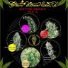 купить семена конопли Sativa/Indica Mix C feminised Green House Seeds купить семена конопли Sativa/Indica Mix C feminised Green House Seeds