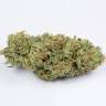 заказ семян конопли Спб Auto Bubba Kush feminised Humboldt Seeds заказ семян конопли Спб Auto Bubba Kush feminised Humboldt Seeds
