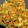 Семена конопли Marmalate feminised Ganja Seeds Семена конопли Marmalate feminised Ganja Seeds