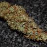 семена конопли Спб Auto Big Bud feminised семена конопли Спб Auto Big Bud feminised