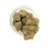 семена конопли интернет магазин Pink Kush feminised Barneys Farm