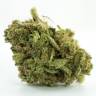 семена конопли феминизированные White Russian feminised GanjaLiveSeeds семена конопли феминизированные White Russian feminised GanjaLiveSeeds