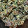 семена культурной конопли купить Tangerine Dream feminised Barneys Farm семена культурной конопли купить Tangerine Dream feminised Barneys Farm