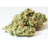 урожайные семена конопли Sour Glue feminised Medical Seeds