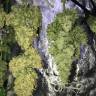 семена конопли для посадки купить Auto White Widow regular семена конопли для посадки купить Auto White Widow regular