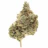 хорошие семена конопли Afghan Hash Plant regular Barneys Farm