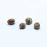 семена конопли элитных сортов Deep Neville regular Medical Seeds семена конопли элитных сортов Deep Neville regular Medical Seeds