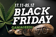 Черная пятница с GanjaSeeds в самом разгаре!